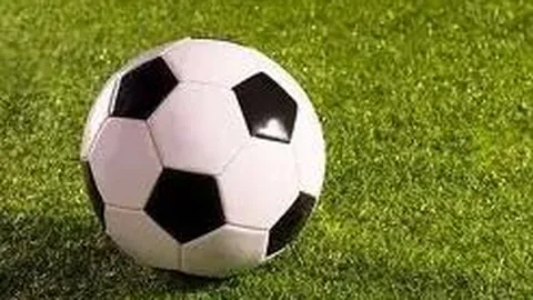 万博体育Manbetx平台